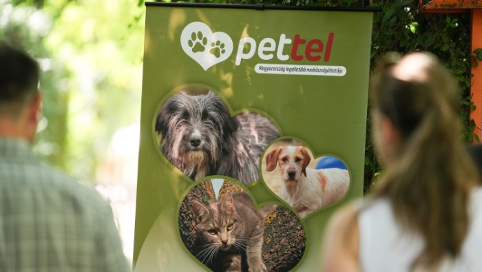 Bemutatták a Pettel projectet