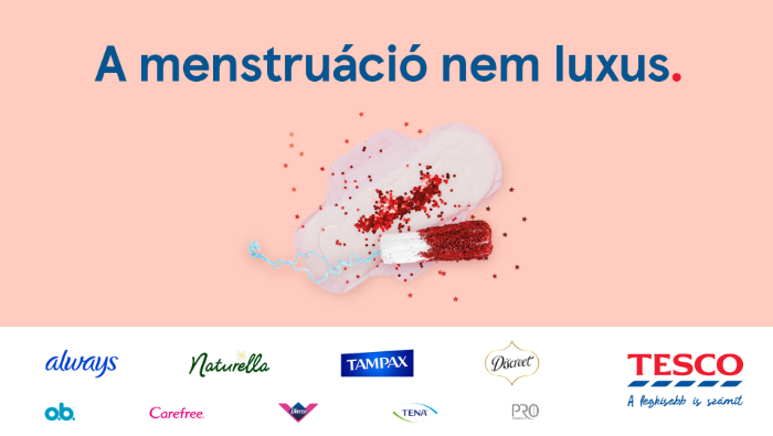 Havi ügy, közös felelősség: tescós vásárlással segíthetünk