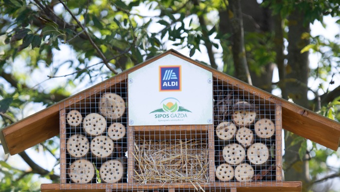 Rovarhotelt „nyitott” az ALDI