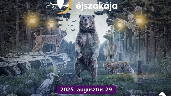 Közösségi közlekedéssel az Állatkertek éjszakájára