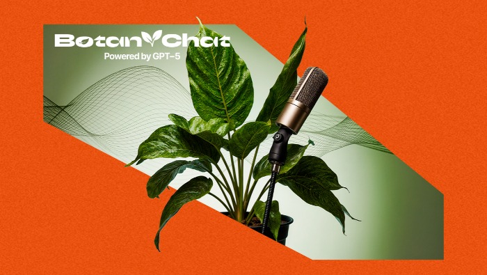 A BotaniChat segítségével beszélgethetünk a növényeinkkel