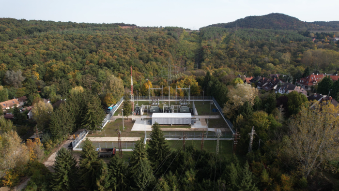 Védett erdő újulhat meg az E.ON fejlesztése nyomán