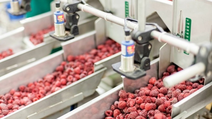 Forradalmi változásokat hoz a digitalizáció