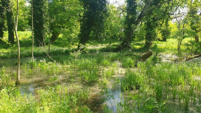 Vízmegtartás és patakrevitalizáció Marcaliban