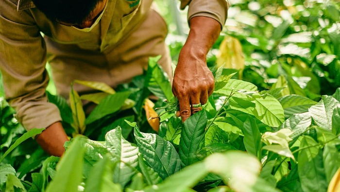 7 éven belül felezné az üvegházhatású gázok kibocsátását a Mars