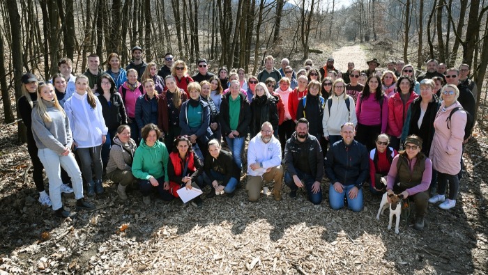 Az MBH Bank támogatásával megújul egy fenyőerdő a Börzsönyben