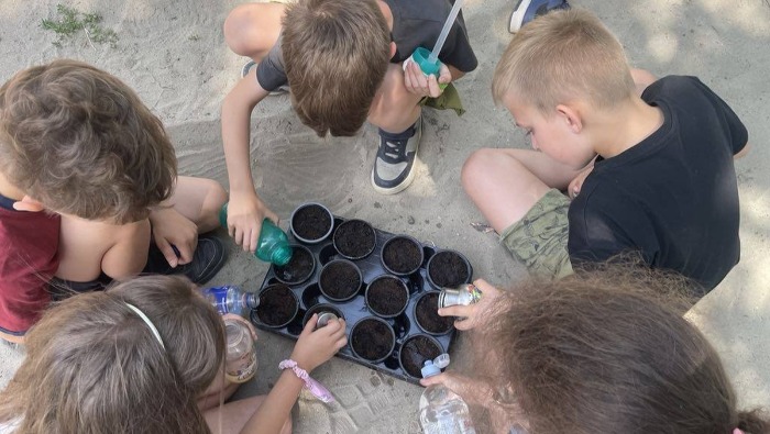 Ősszel sem pihennek a kaptár lakói: így segíthetjük a beporzókat