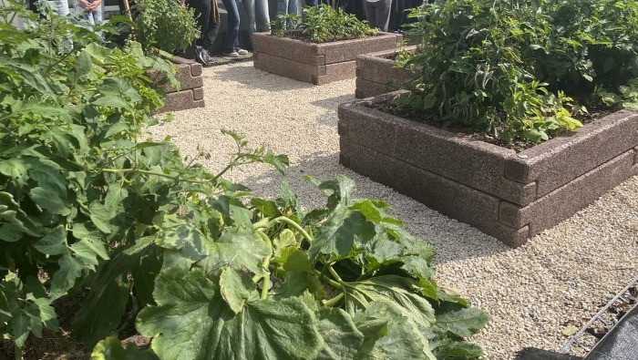 Fókuszban a környezettudatosság