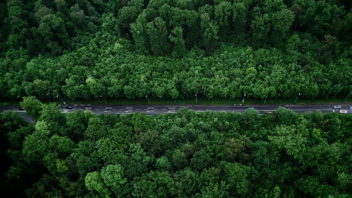 Olcsóbb és környezetbarátabb, ha így vezetsz