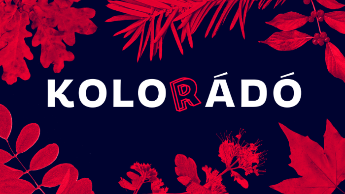 Zöld megoldást hozott a Republic Group