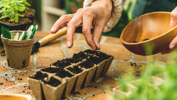 Így élesszük újra a kertet: szakértő tanácsai a tavaszi induláshoz