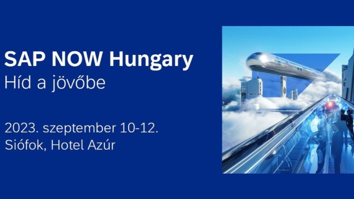 Hogy viszonyulnak a vállalatok az AI-hoz?