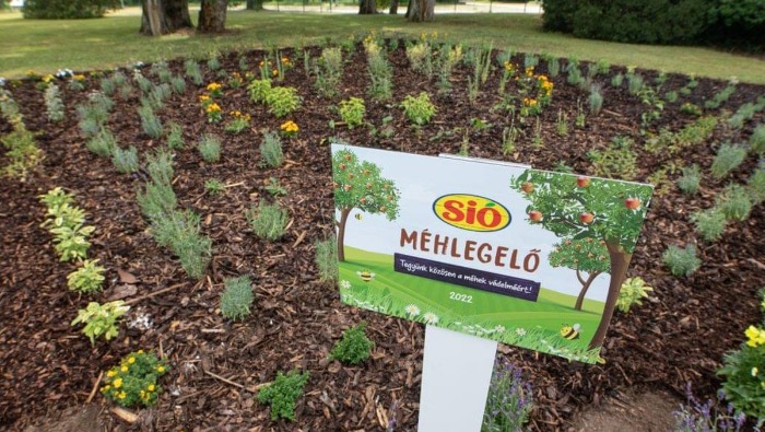 A méheket támogatja a SIÓ