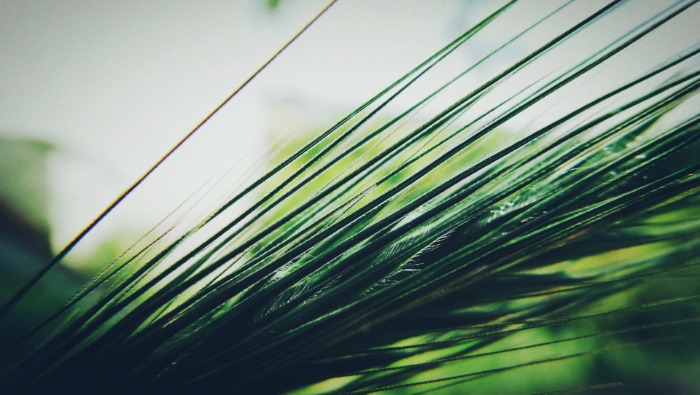 Új nevet kap az SAP Emarsys