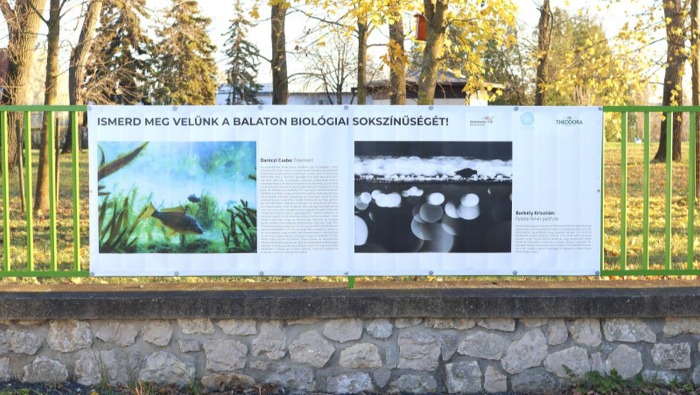 Szabadtéri kiállítást nyit a Theodora