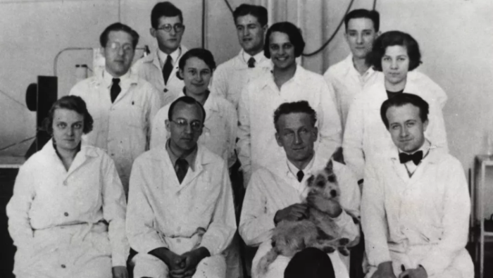 Vigyél Haza Alapítvány: Örökbe fogadni híresen jó!