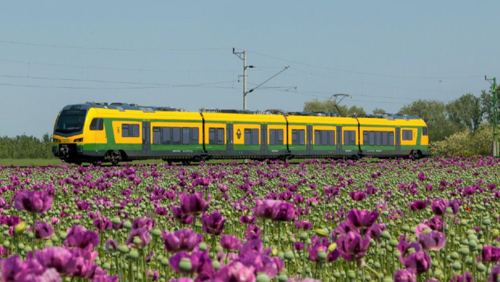 Vasúti logisztikai képességeit erősíti a Waberer’s Csoport