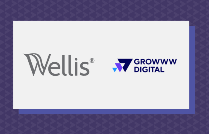 A globális terjeszkedésben is a rendszerszemlélet hoz eredményt: a Wellis a Growww Digitallal kötött stratégiai partnerséget