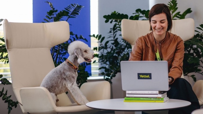 Versenyhátrányt jelenthet, ha egy cég nem kutyabarát