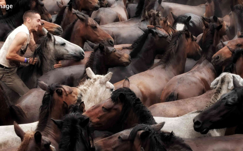 Adão Filipe Fernandes Salgado - FORCE